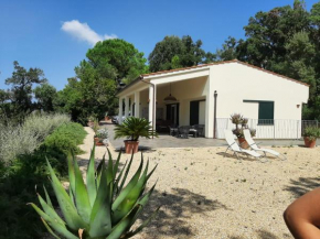 Villa Geko - Goelba